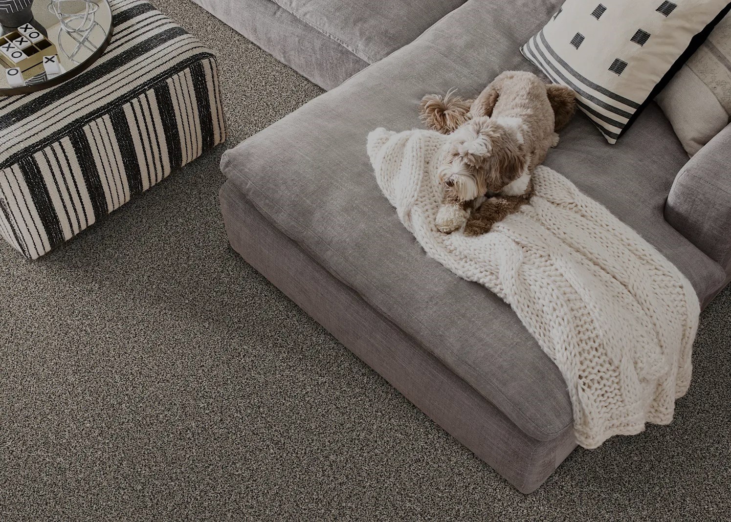 Neutral Carpet with cute dog laying on living room lounge chair