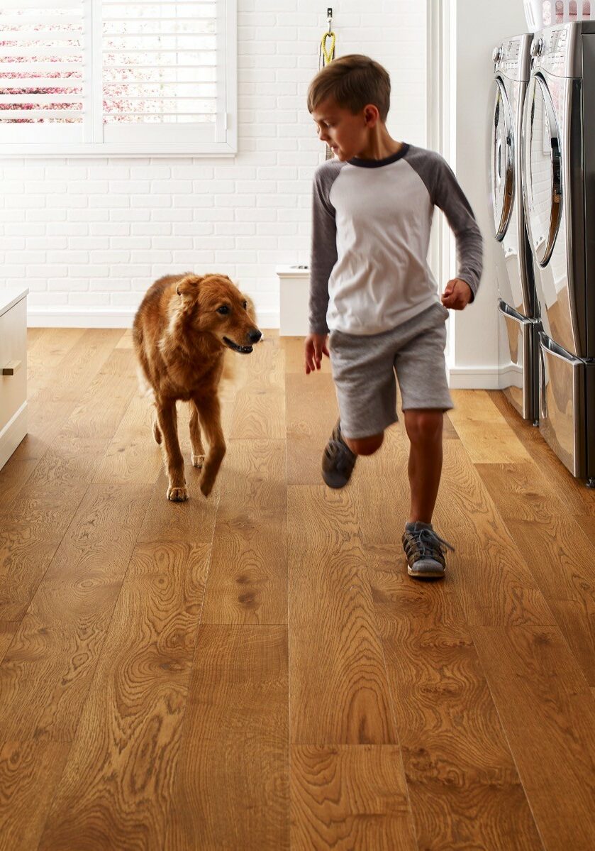 Pet friendly floor | Nationwide Floor & Window Coverings